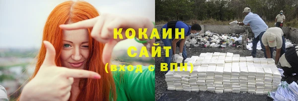 ешки Белокуриха