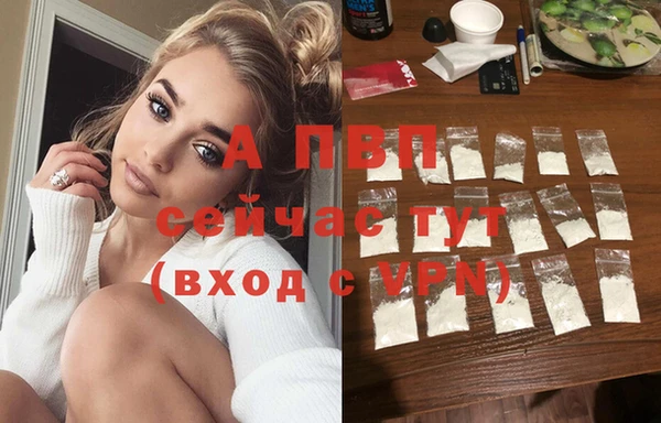 ешки Белокуриха