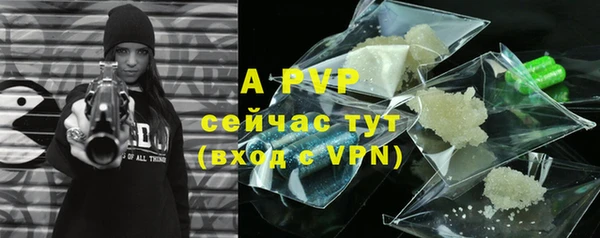 ешки Белокуриха
