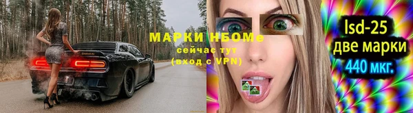 ешки Белокуриха
